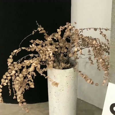 兽设星空元素设计Furry群